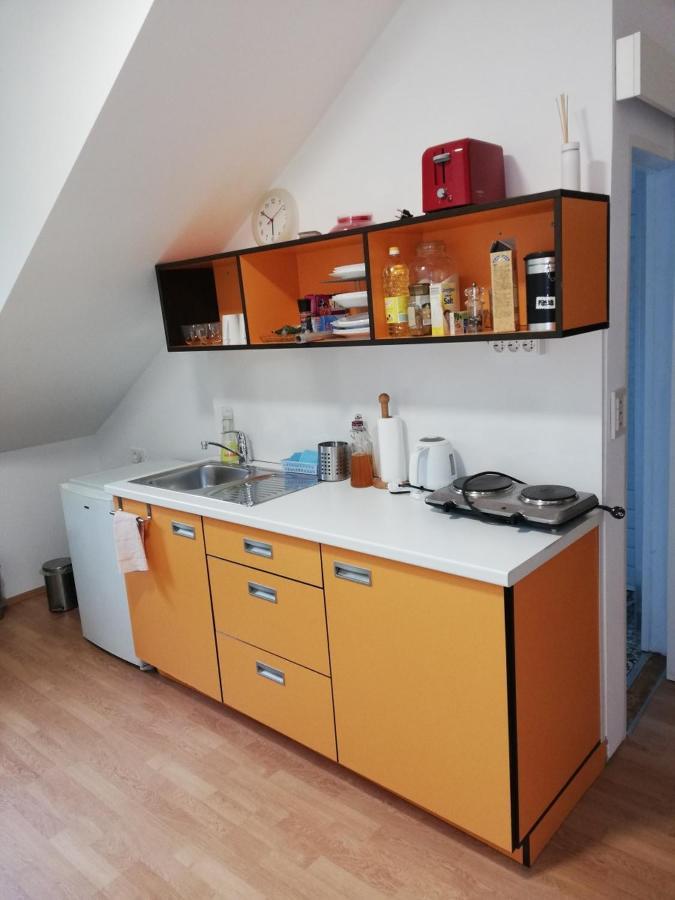 Hostel Vila Veselova, City Center