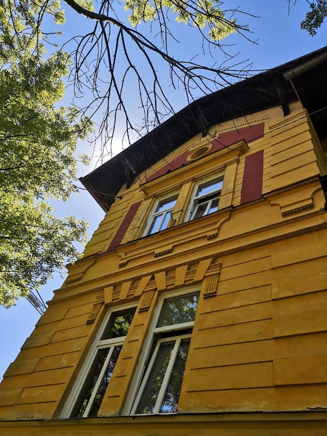 Vila Veselova, City Center